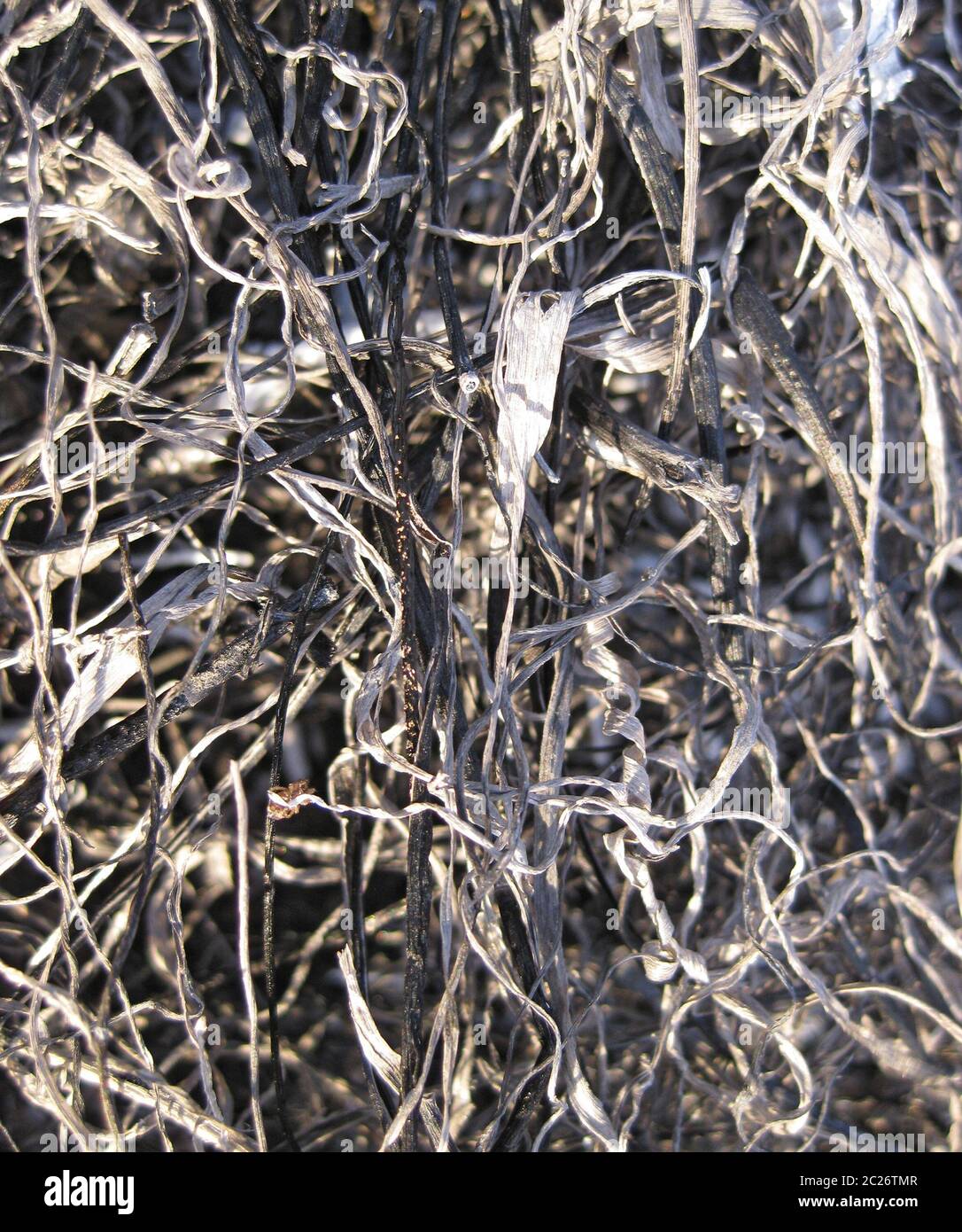 Background from the ashes of the burnt grass. Plant ash on the field