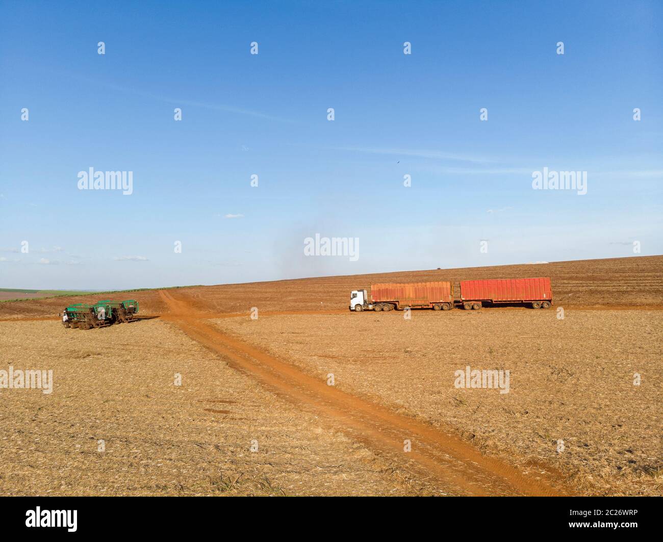 Truck waiting to load sugar cane in the field. Stock Photo