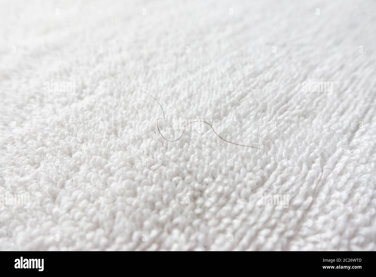pubic hair fall on white towel Stock Photo - Alamy