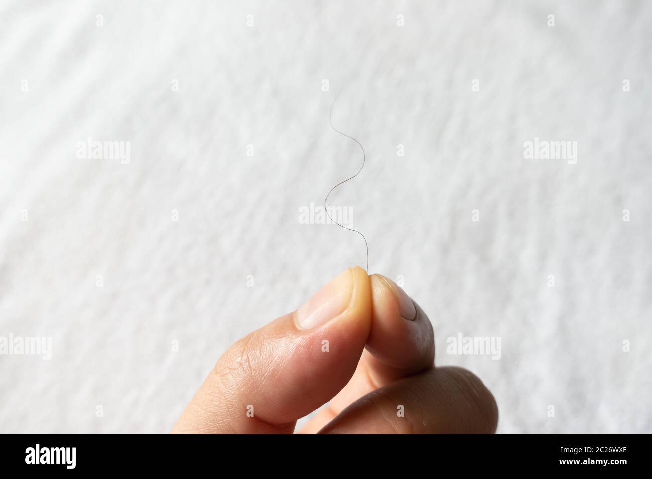 hand hold pubic hair fron towel Stock Photo