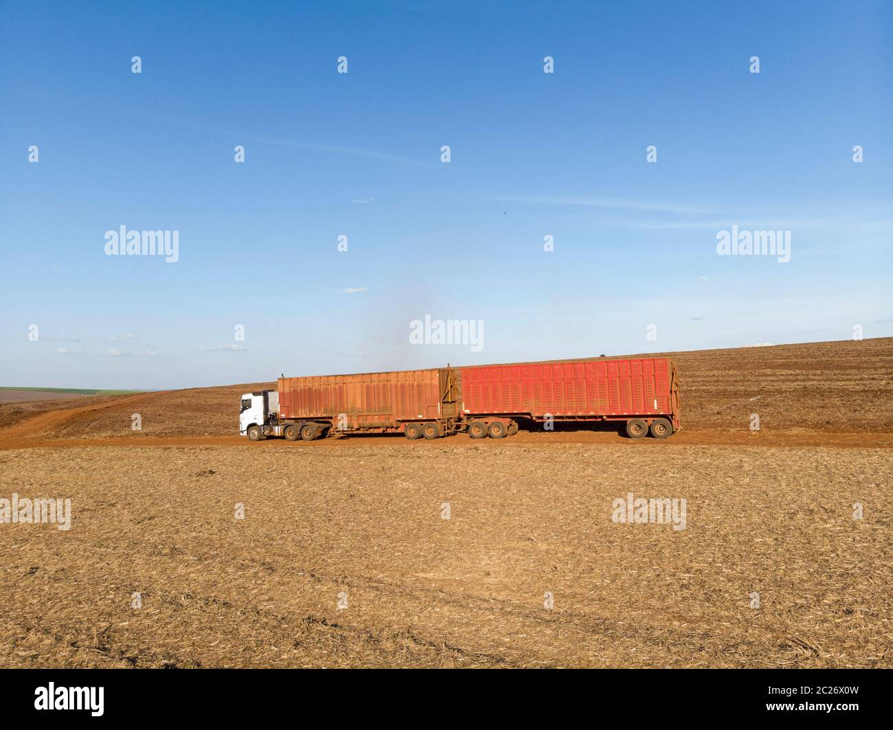 Truck waiting to load sugar cane in the field. Stock Photo