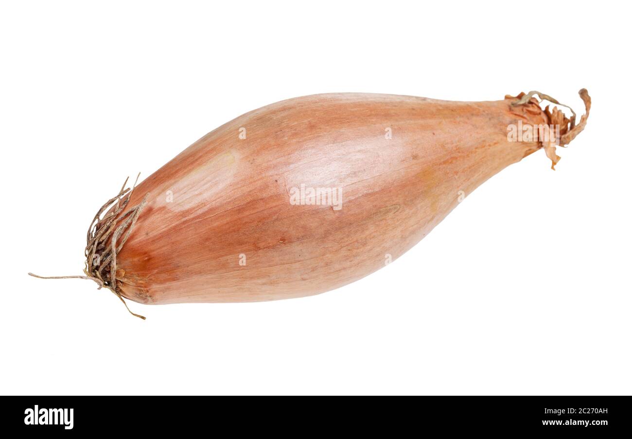 single bulb of shallot onion isolated on white background Stock Photo
