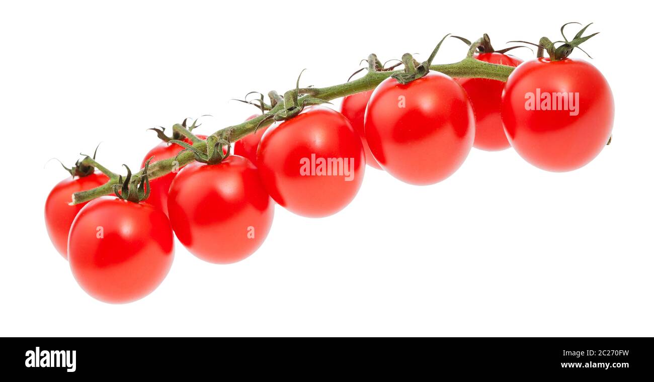 branch of ripe red Cherry tomatoes isolated on white background Stock ...