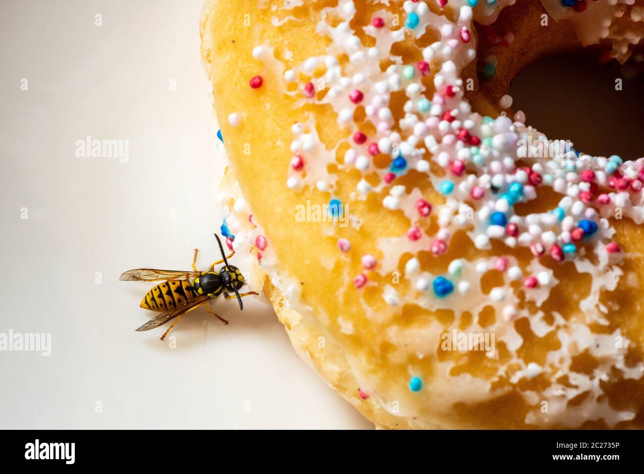 A Dangerous Wasp on Food Stock Photo