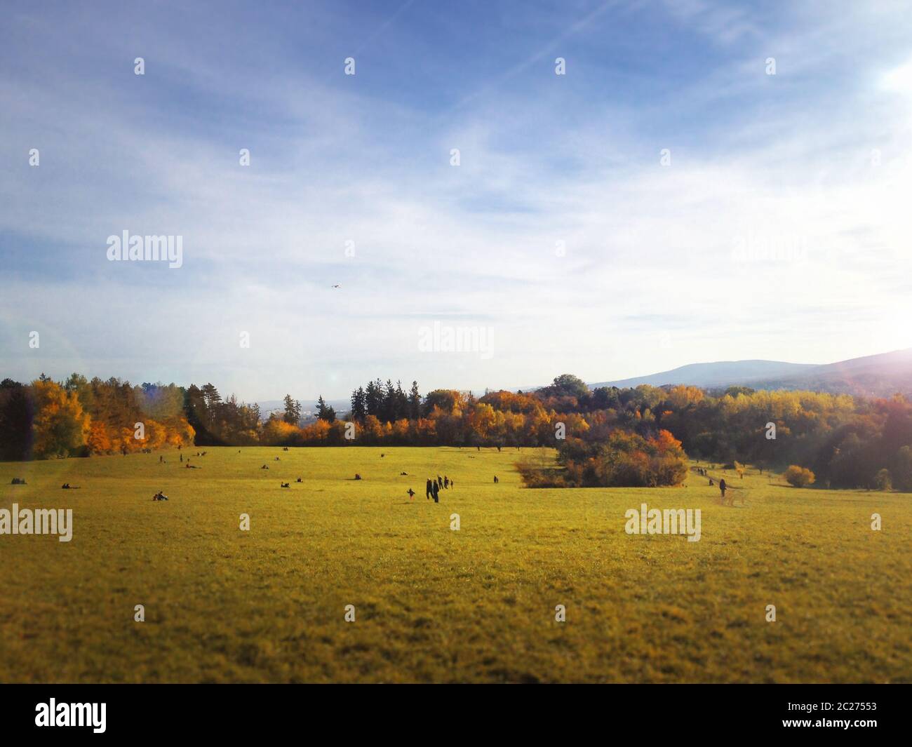 Autumn outdoor landscape scene. Environment Stock Photo