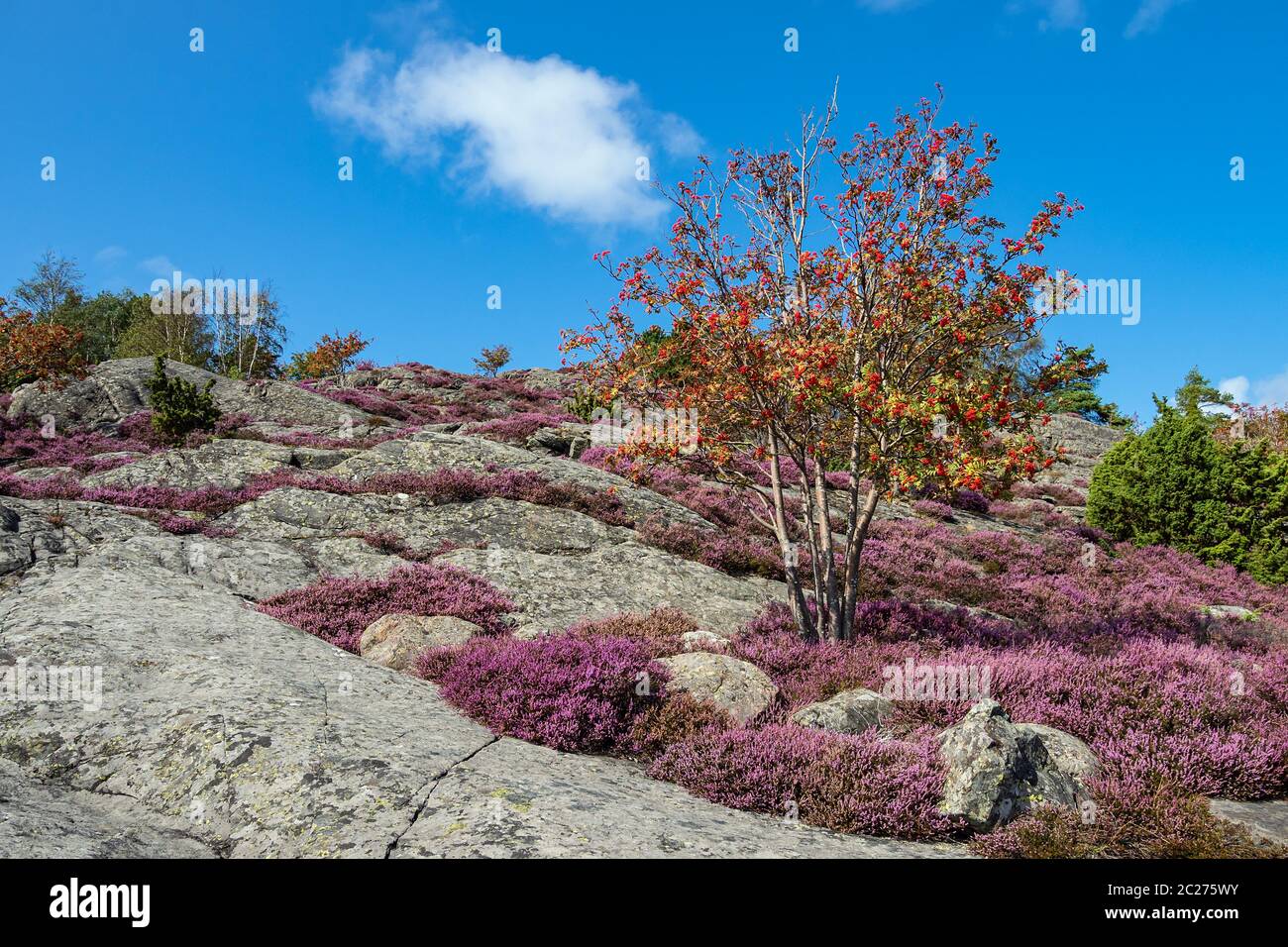 View to the island Dyroen in Sweden. Stock Photo