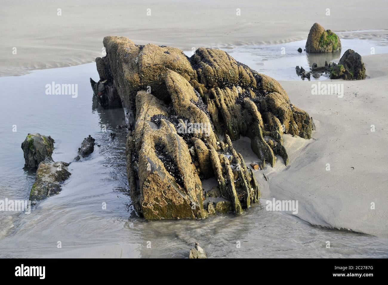 Reef Roc Surface Reef roc after the Atlantic Ocean Stock Photo - Alamy