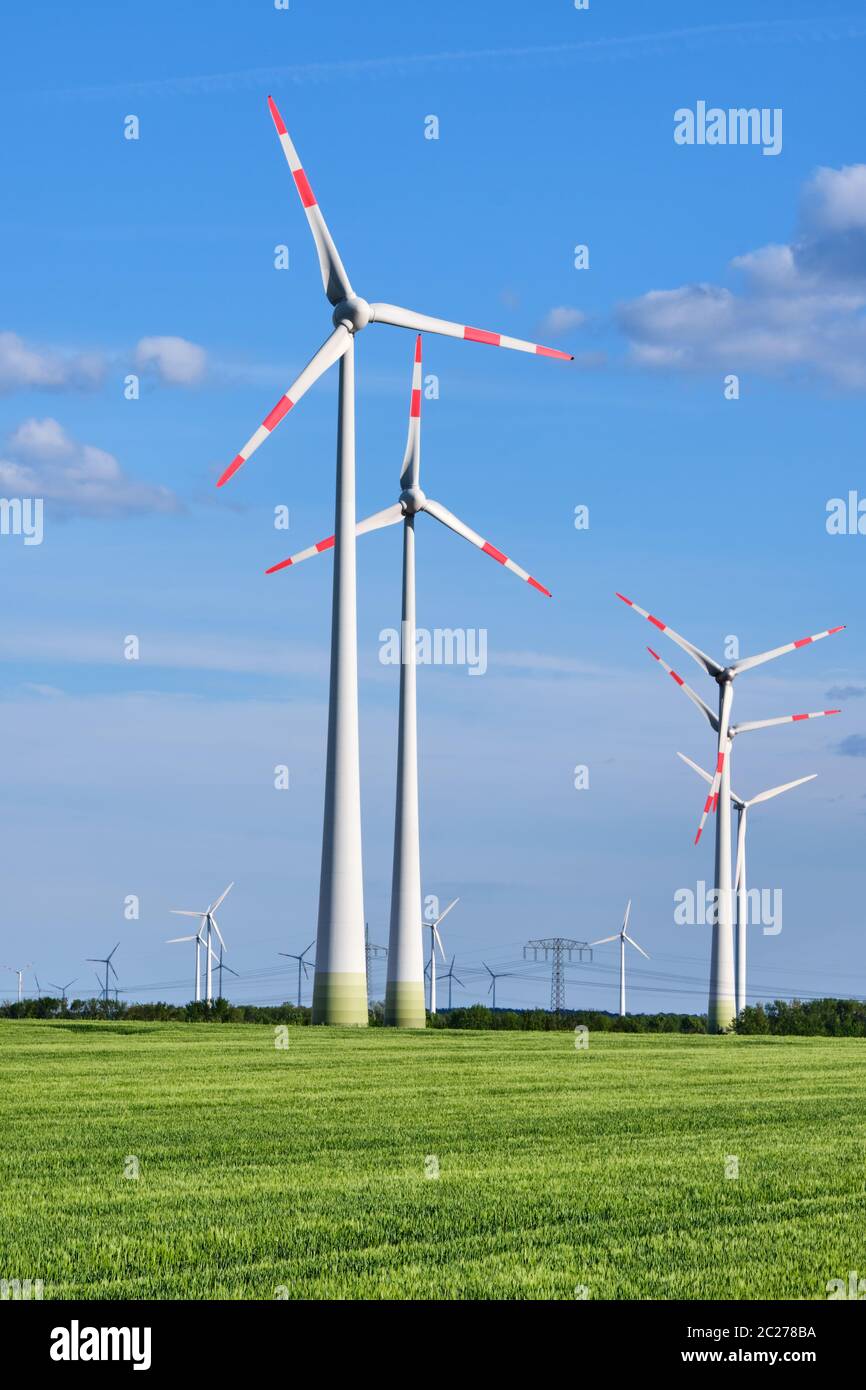 Wind turbines in a green corn field seen in Germany Stock Photo