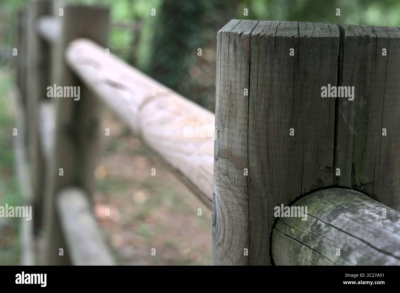 wood fence in the foreground Stock Photo