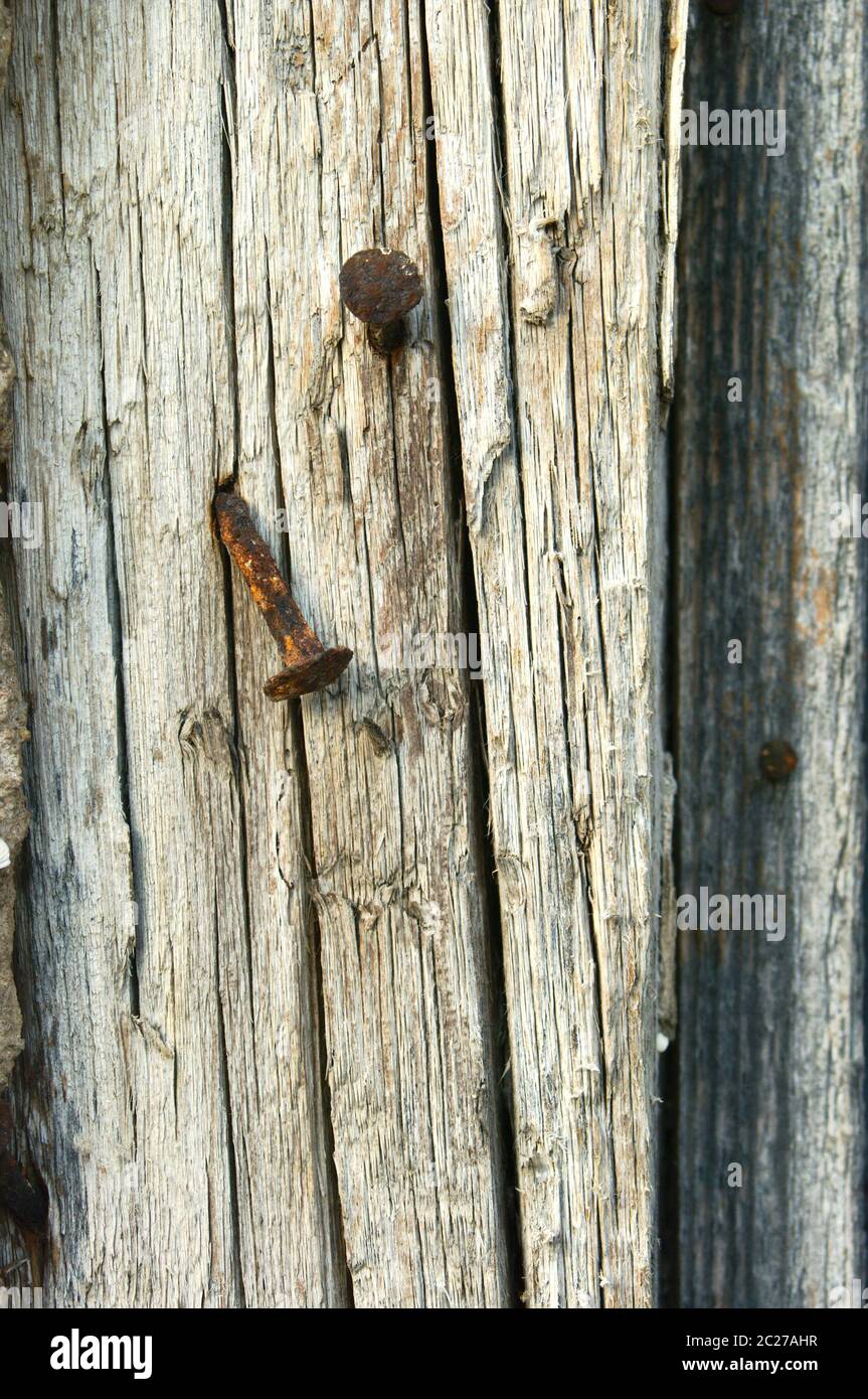 rusty nails nailed in old wood Stock Photo