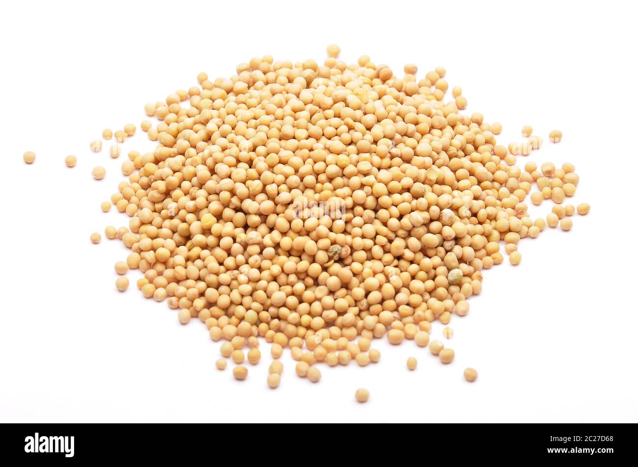 Mustard seeds on white background Stock Photo