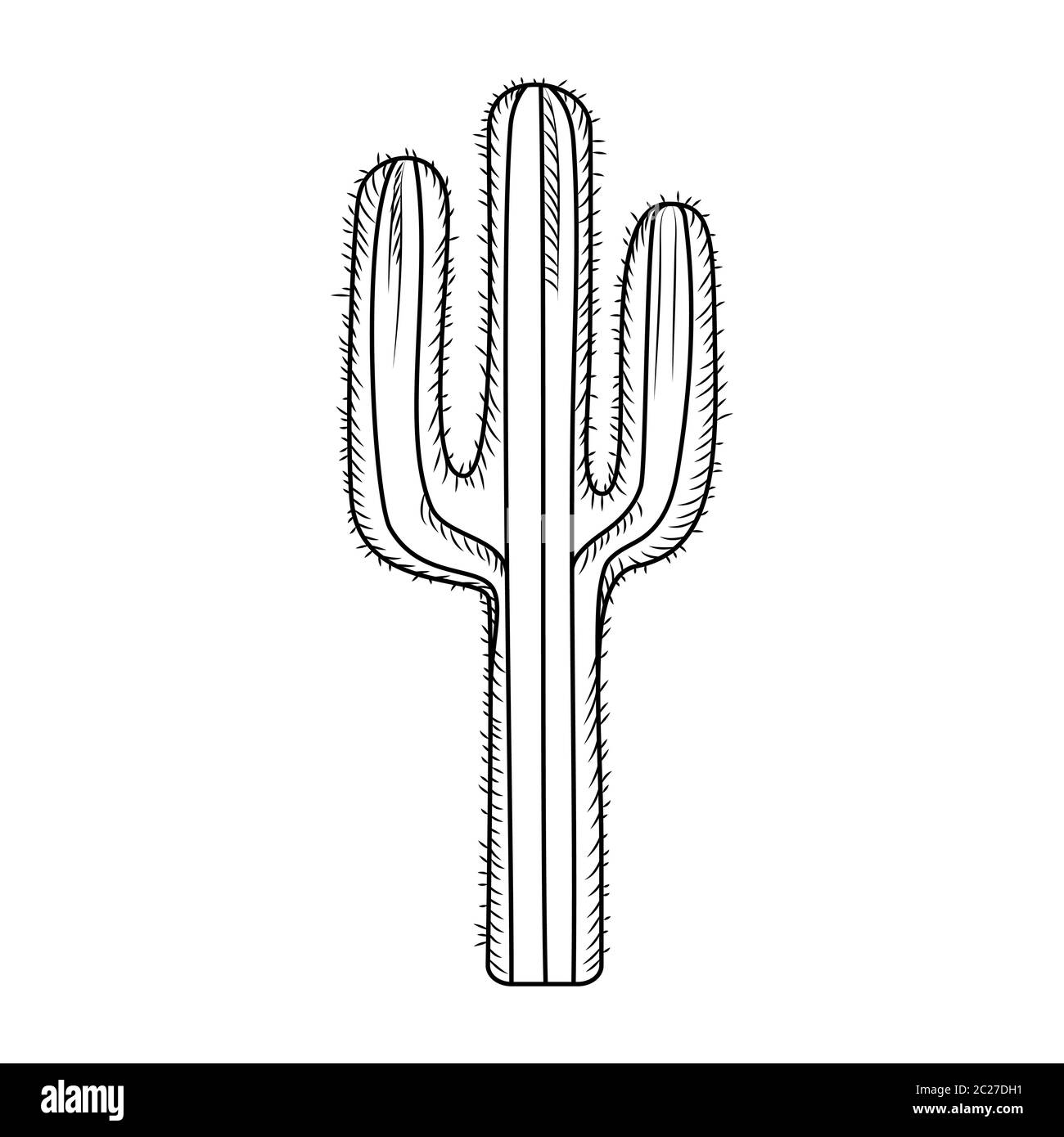 Hand Drawn Cactus Design Vector Download