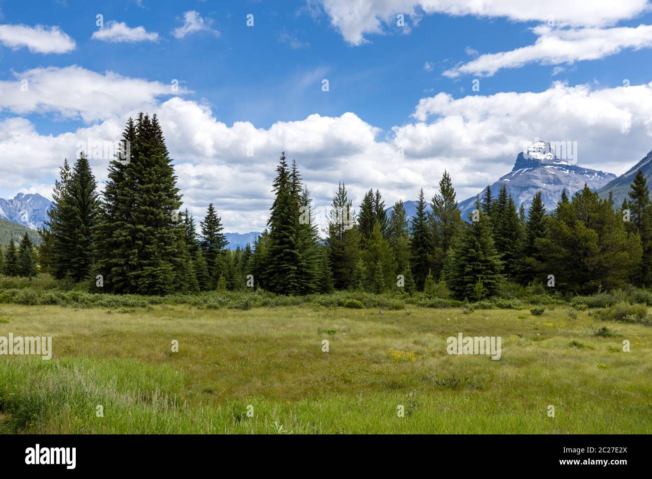 Landscape of the Banff National Park of Canada Stock Photo