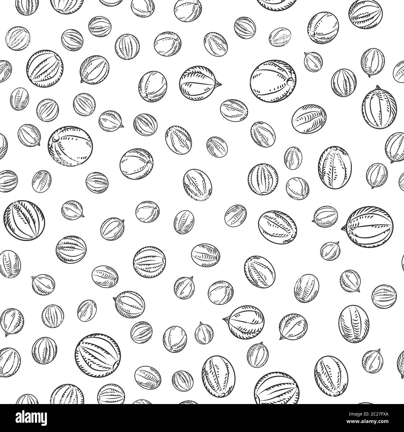Black pepper seamless pattern on white background. Cooking ingredients wallpaper. Natural vegetable. Monochrome engraving vintage style. Vector illust Stock Vector