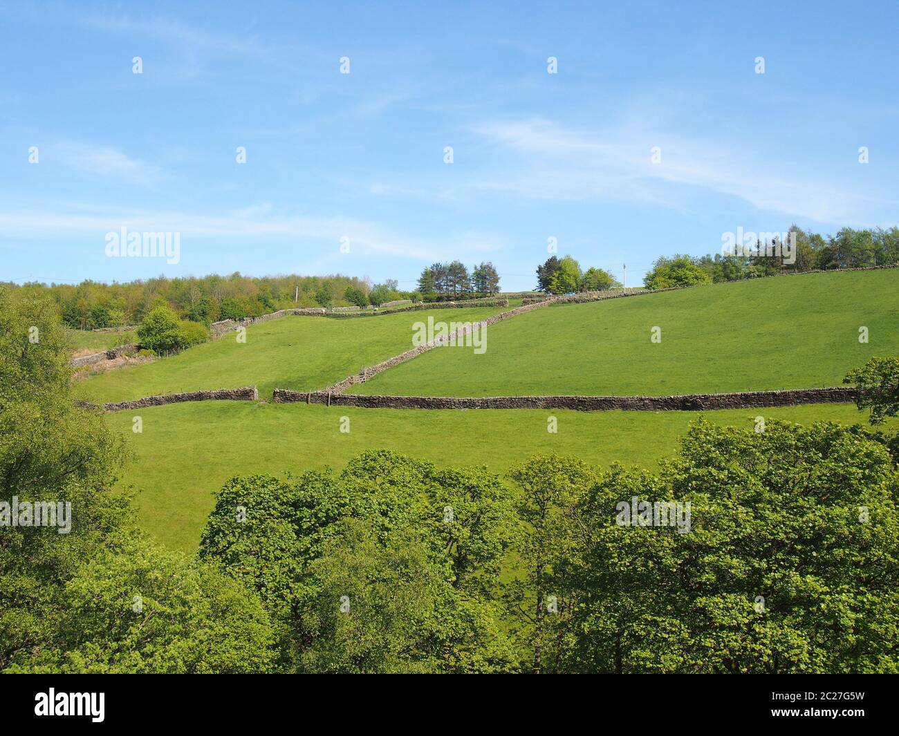 green grass meadows surrounded by stone walls and framed by summer trees in bright summer sunlight in the yorkshire dales countr Stock Photo