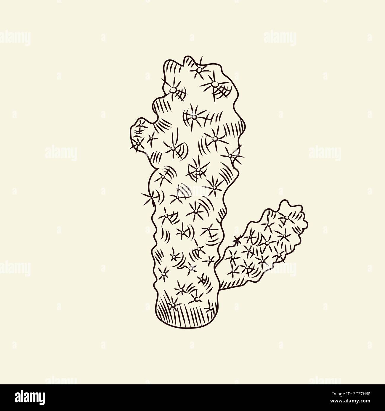 Wild cacti sketch. Mammillaria cactus isolated on light background. Engraving vintage style. Vector illustration. Stock Vector