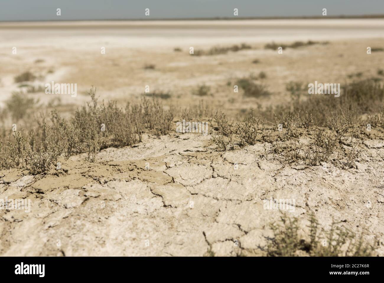 Consequences of Aral sea catastrophe. Sandy salt desert on the place of former bottom of Aral sea. Stock Photo
