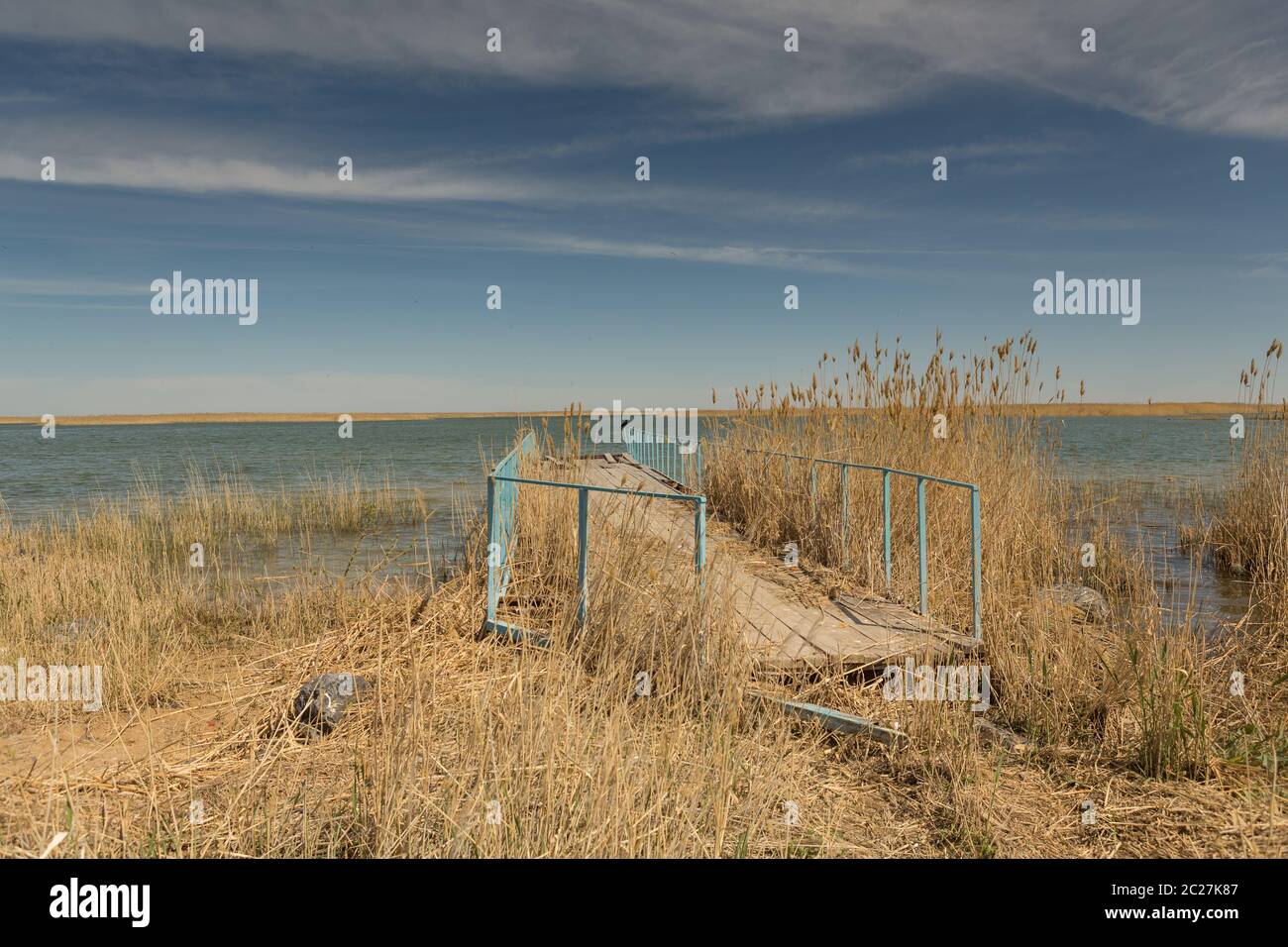 Old boat pier on the shore of the small Aral sea in Kazakhstan. In the foreground is tall grass. Stock Photo