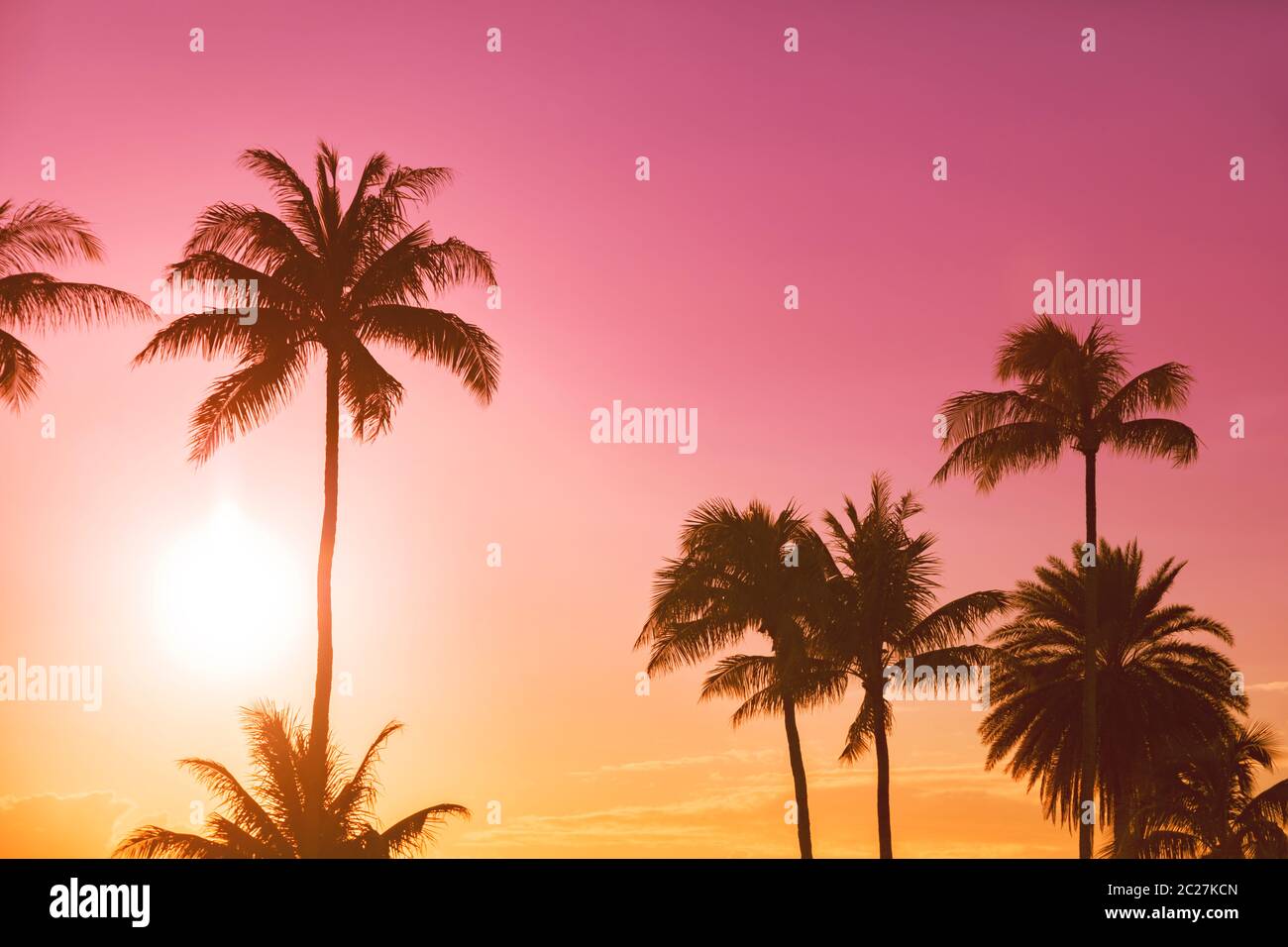 Palm tree silhouette on a background of tropical sunset Stock Photo - Alamy