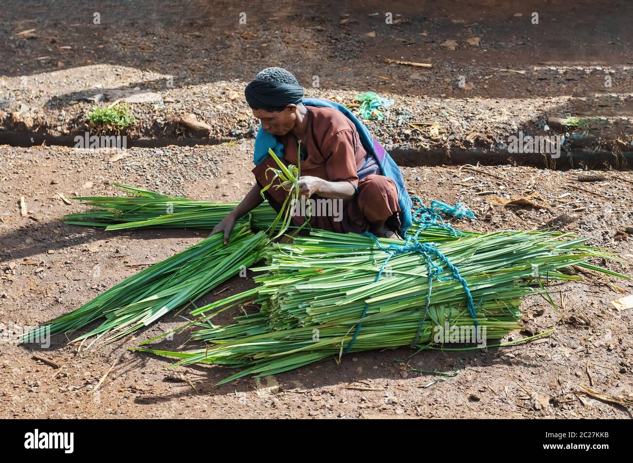 Ethiopian man sells sugar cane on the street Stock Photo