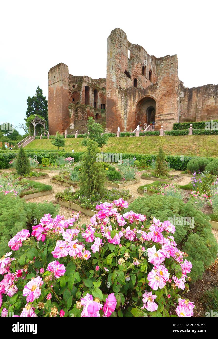 Kenilworth, UK. 16th June, 2020. Pink Flowers are pictured at The