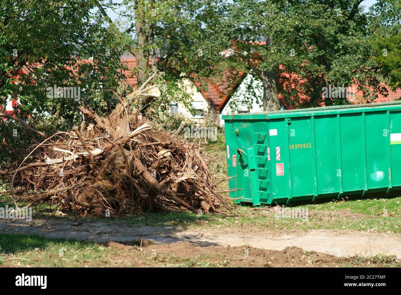 A pile of sawed branches, twigs and trees after a storm. Stock Photo