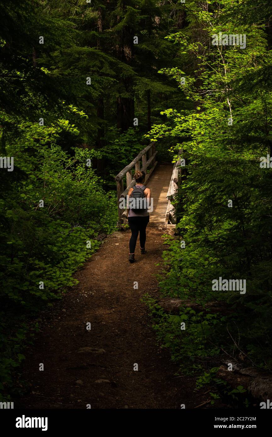 A solo female hiker approaching a footbridge on the Clear Lake Loop Trail surrounded by green foliage. Stock Photo
