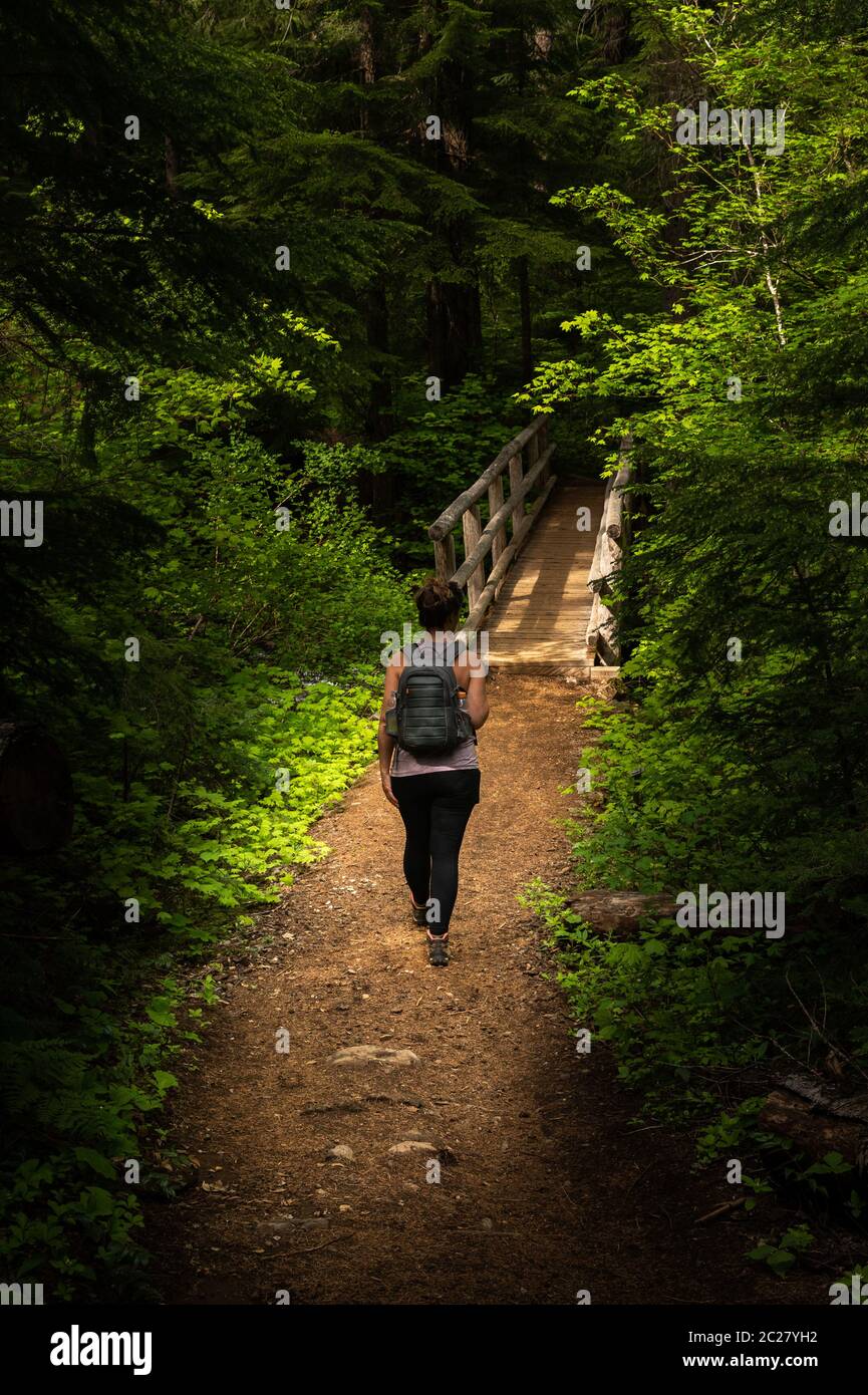 A solo female hiker walking on the Clear Lake Loop Trail approaching a footbridge Stock Photo