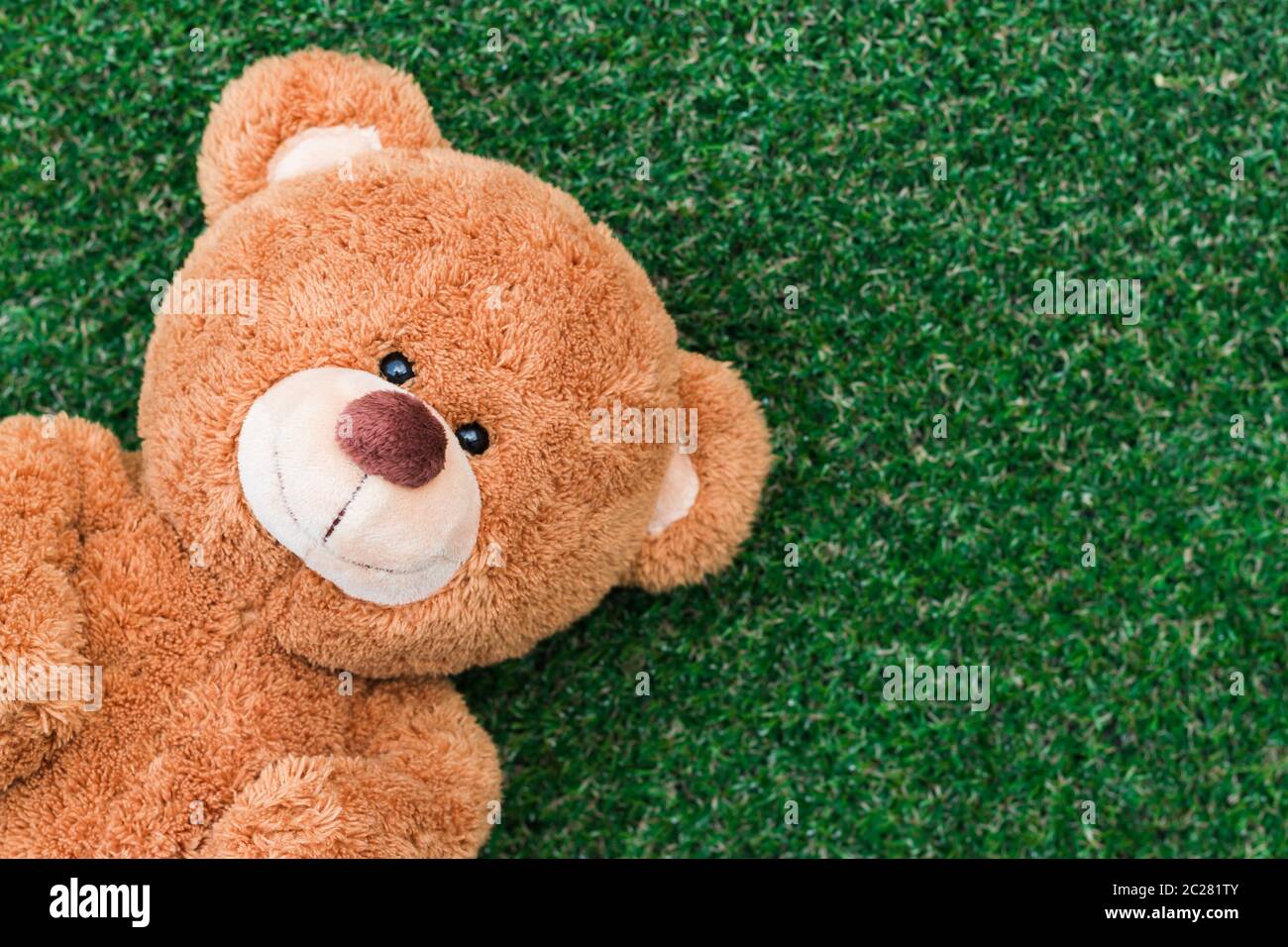 Cute teddy bear Stock Photo Alamy