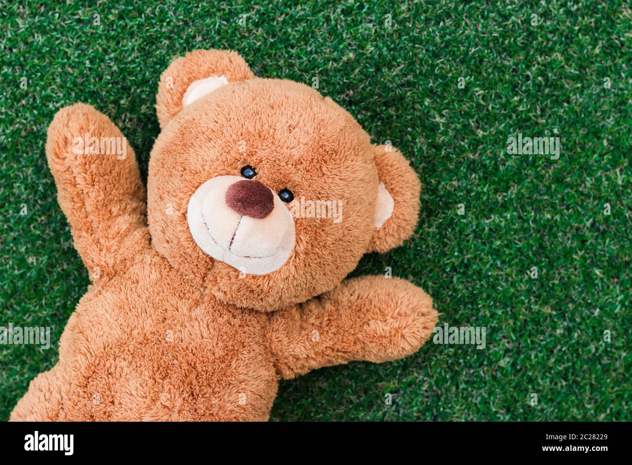 Cute teddy bear Stock Photo