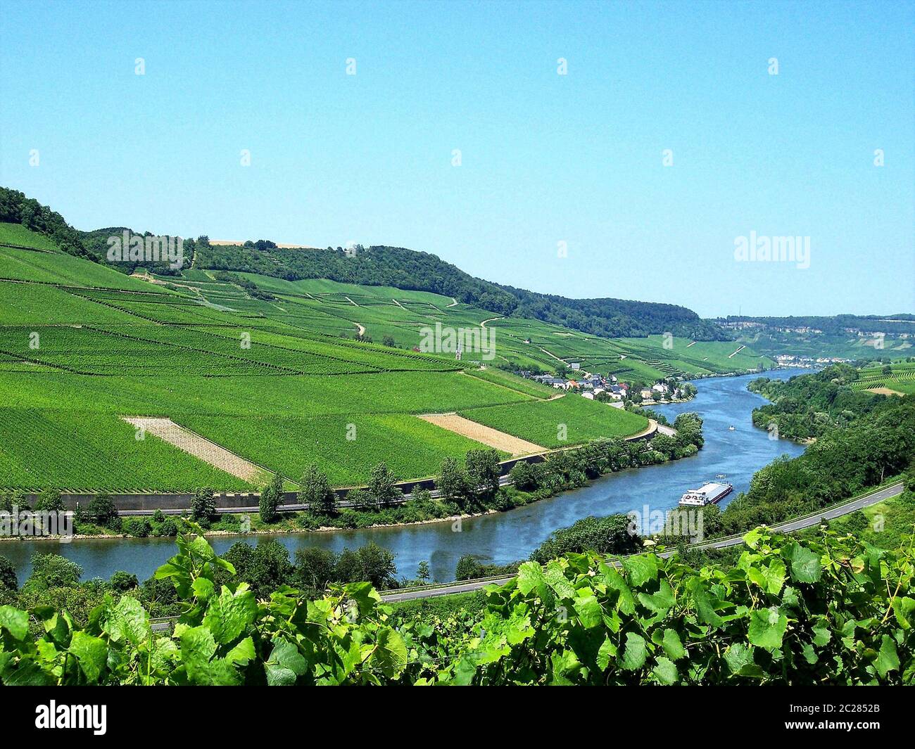 Moselle,River,Rhineland-palatinate,Winegrowing Stock Photo
