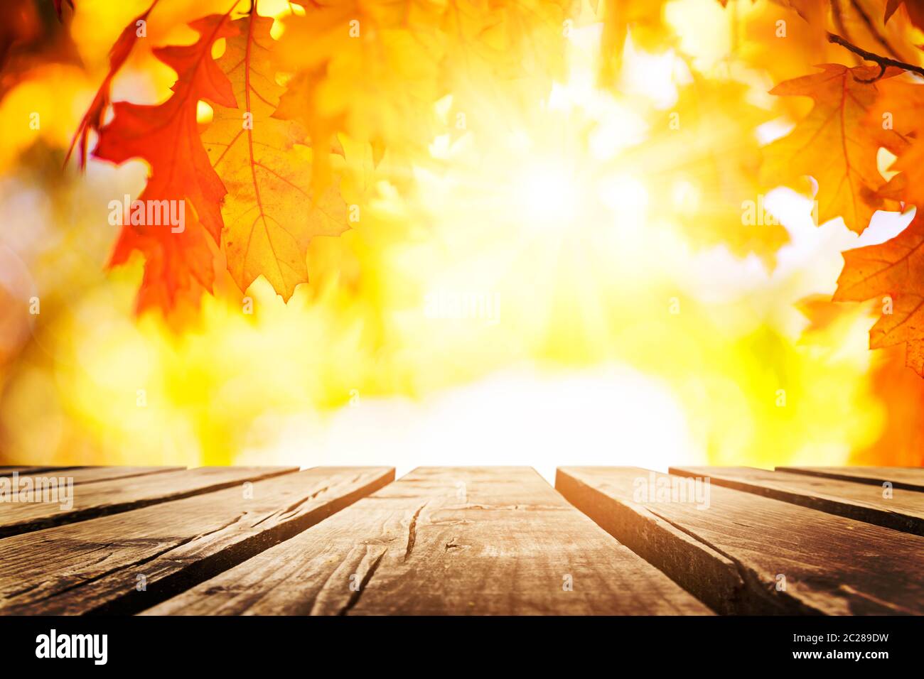 Multi colored autumn tree leaves and wooden table background Stock ...