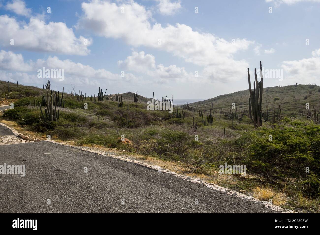 Caribbean Sea, Aruba - Aruba National Park Stock Photo - Alamy