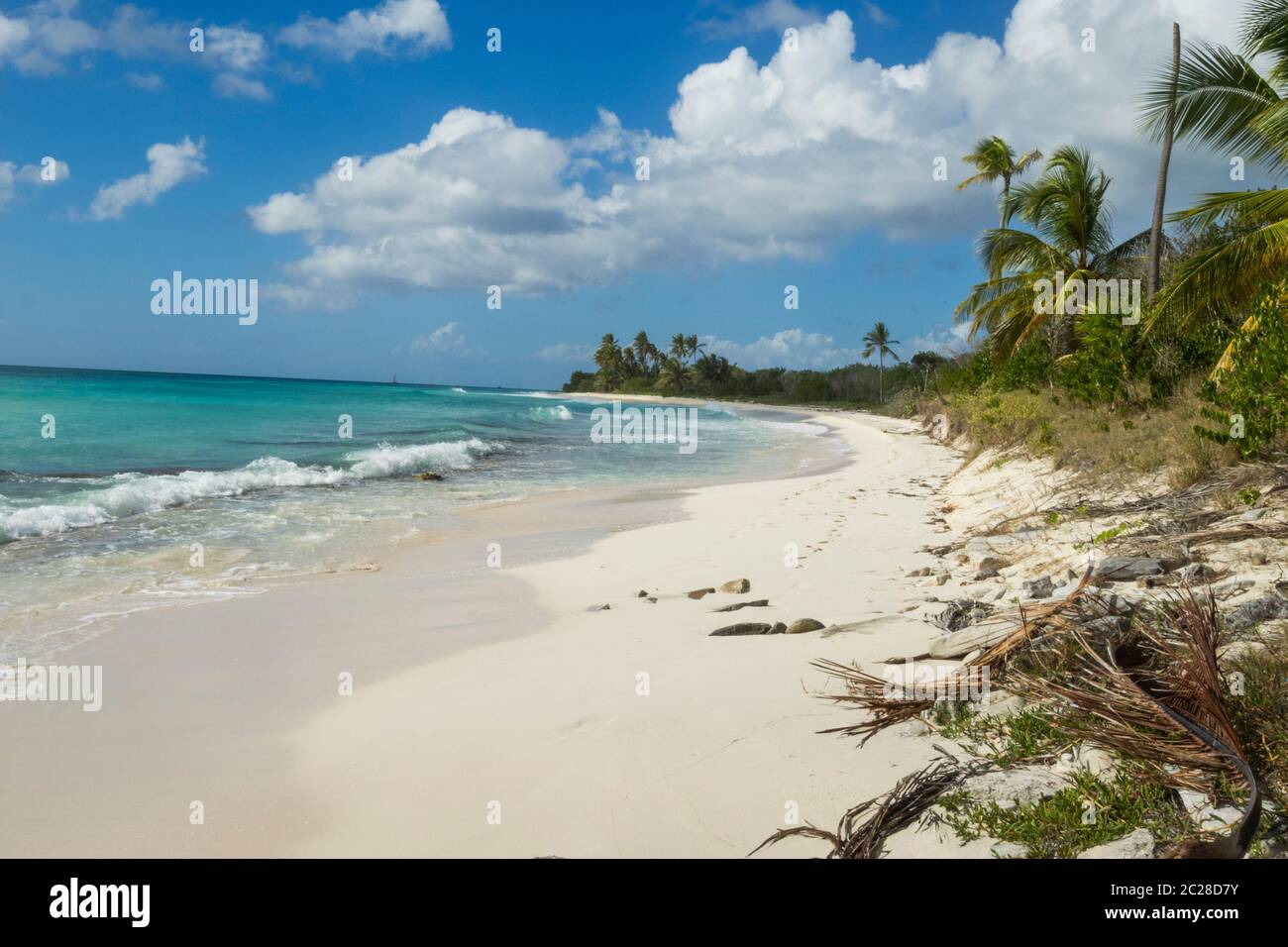 Caribbean Sea / Dominican Republic - La Saona Island, Parque Nacional del Este - Laguna los Flamencos Stock Photo