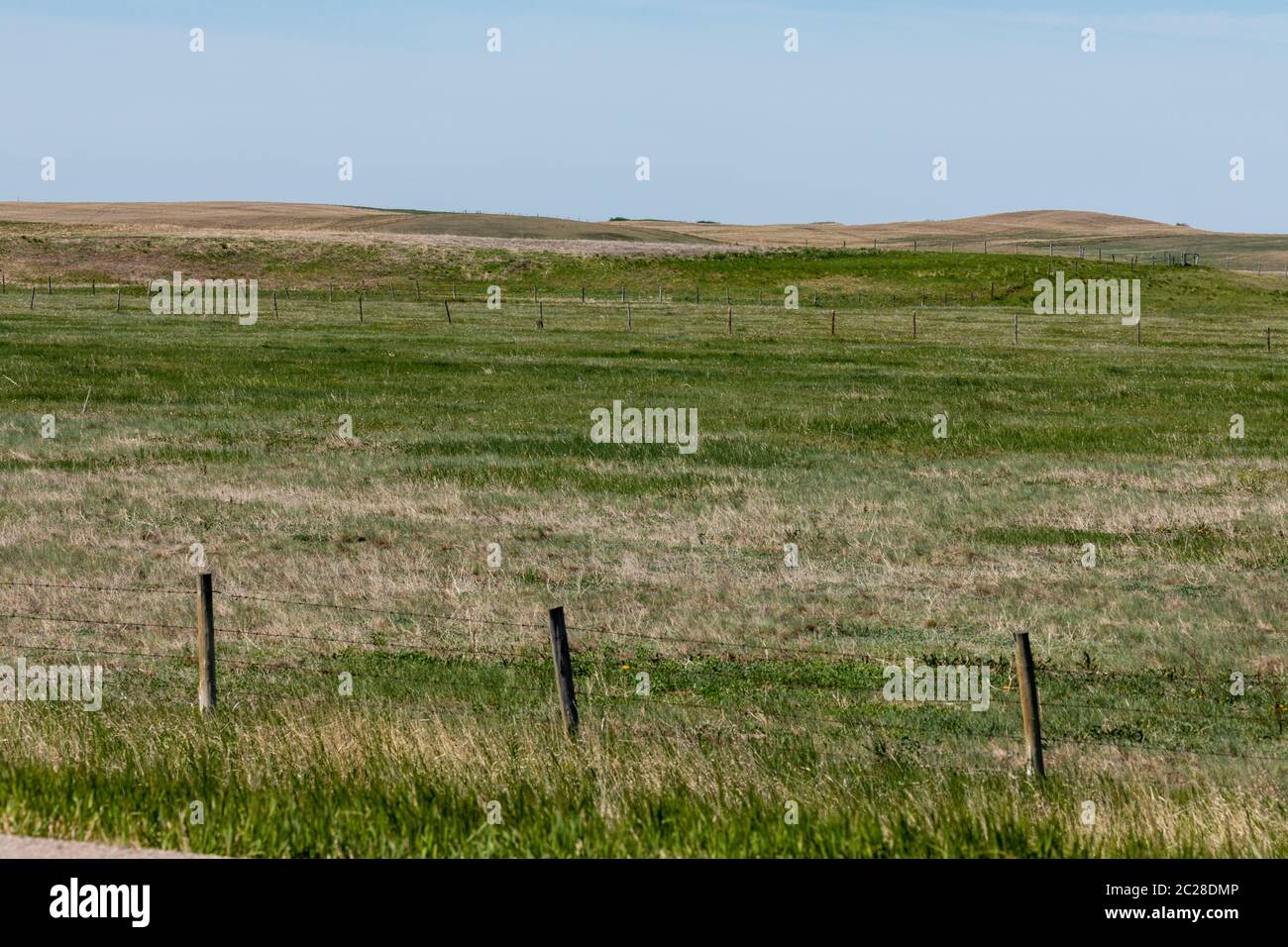 The Prairie and Great Plains of Canada in Alberta Stock Photo