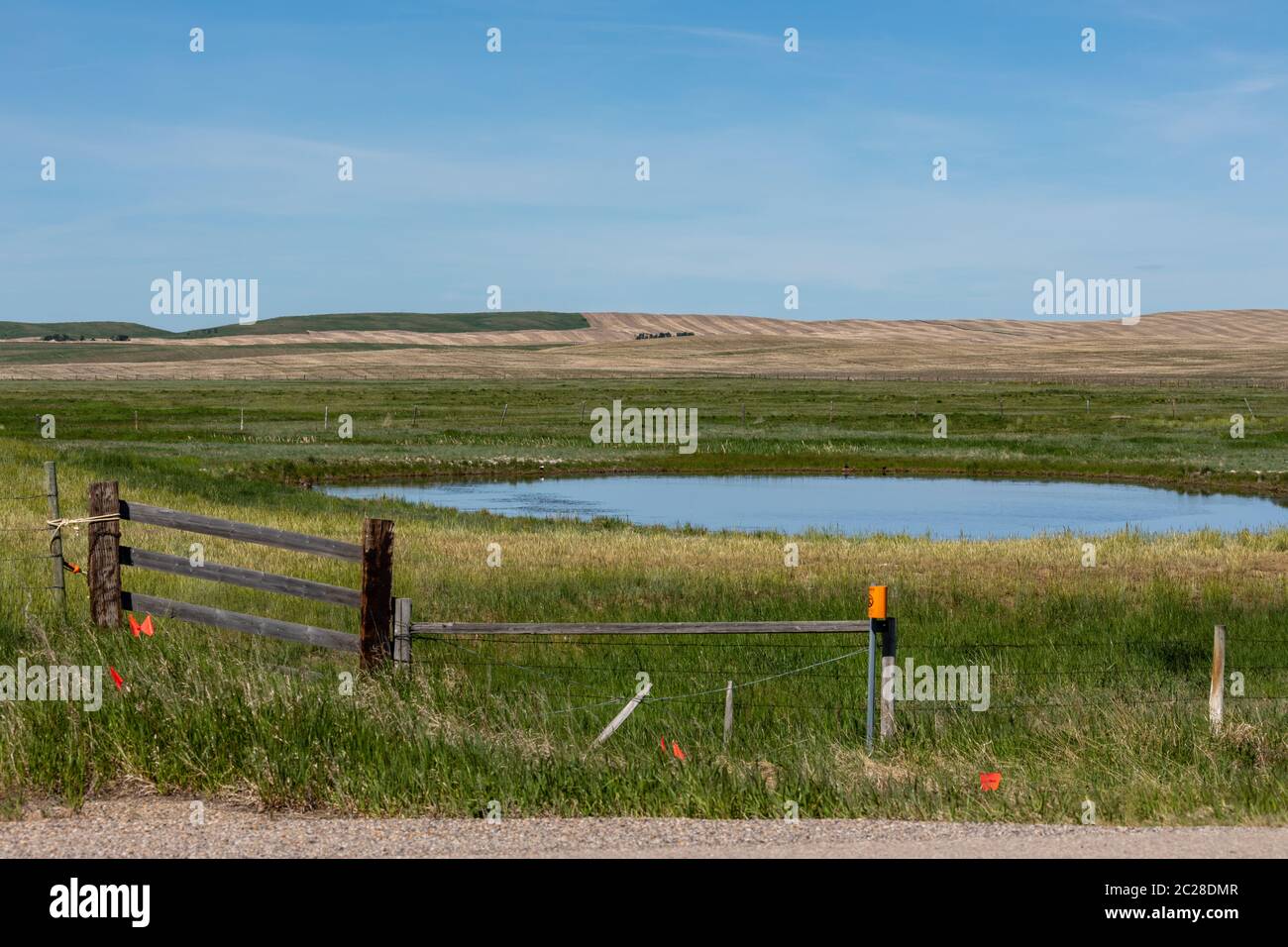 The Prairie and Great Plains of Canada in Alberta Stock Photo - Alamy