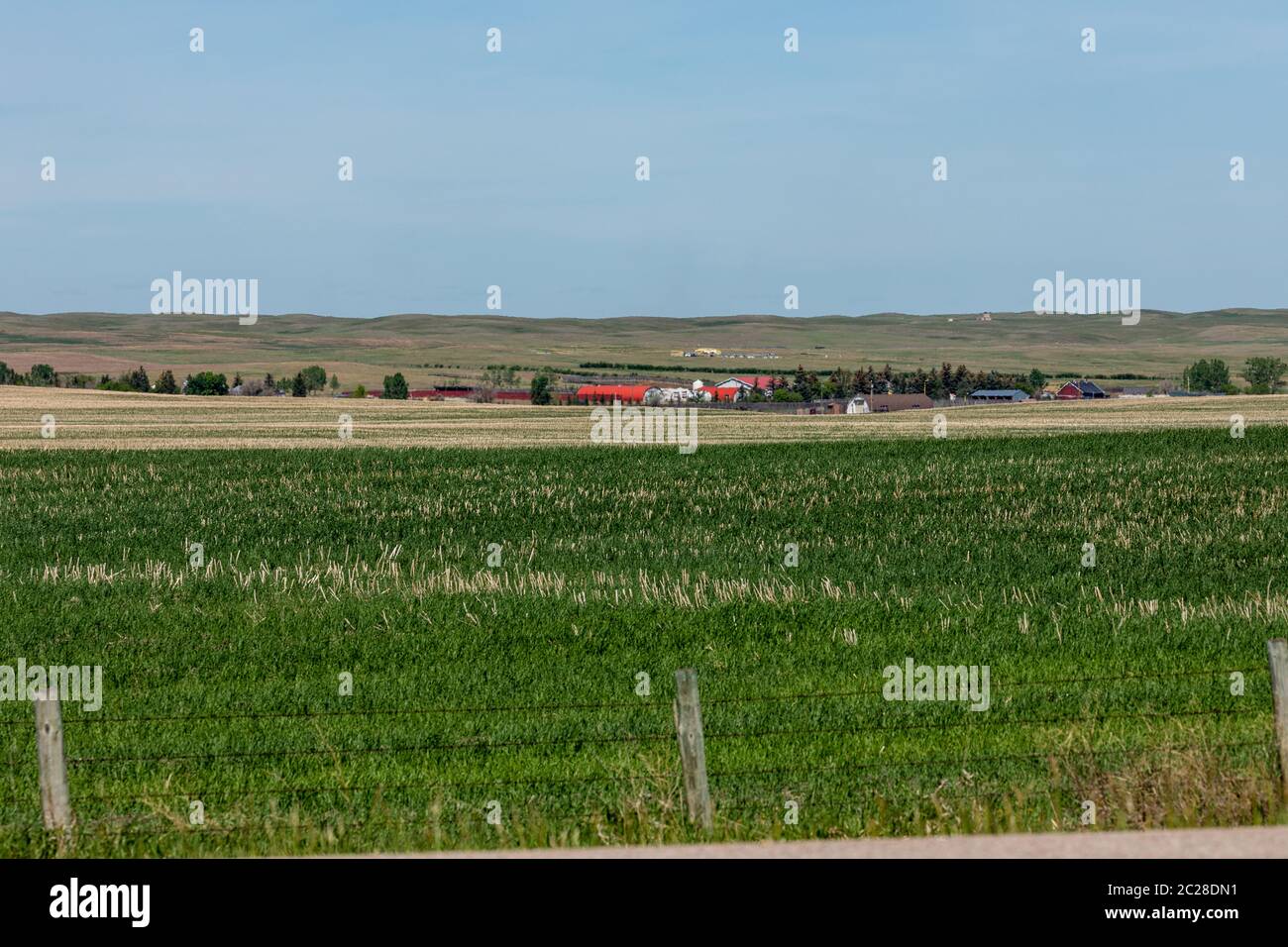 The Prairie and Great Plains of Canada in Alberta Stock Photo