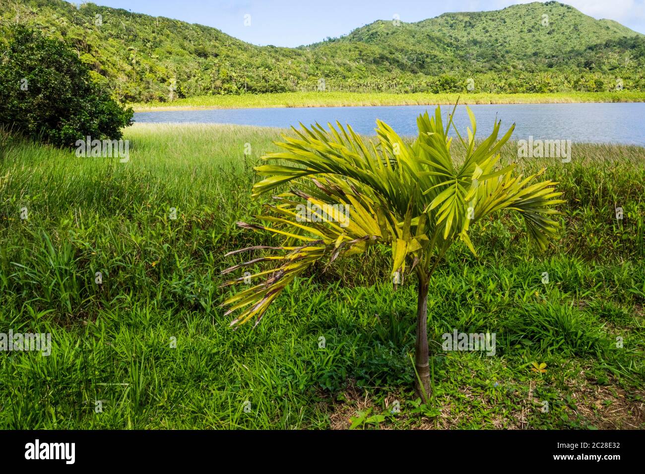 Caribbean Sea, Grenada Grand Etang Lake at Parish Saint Andrew Stock