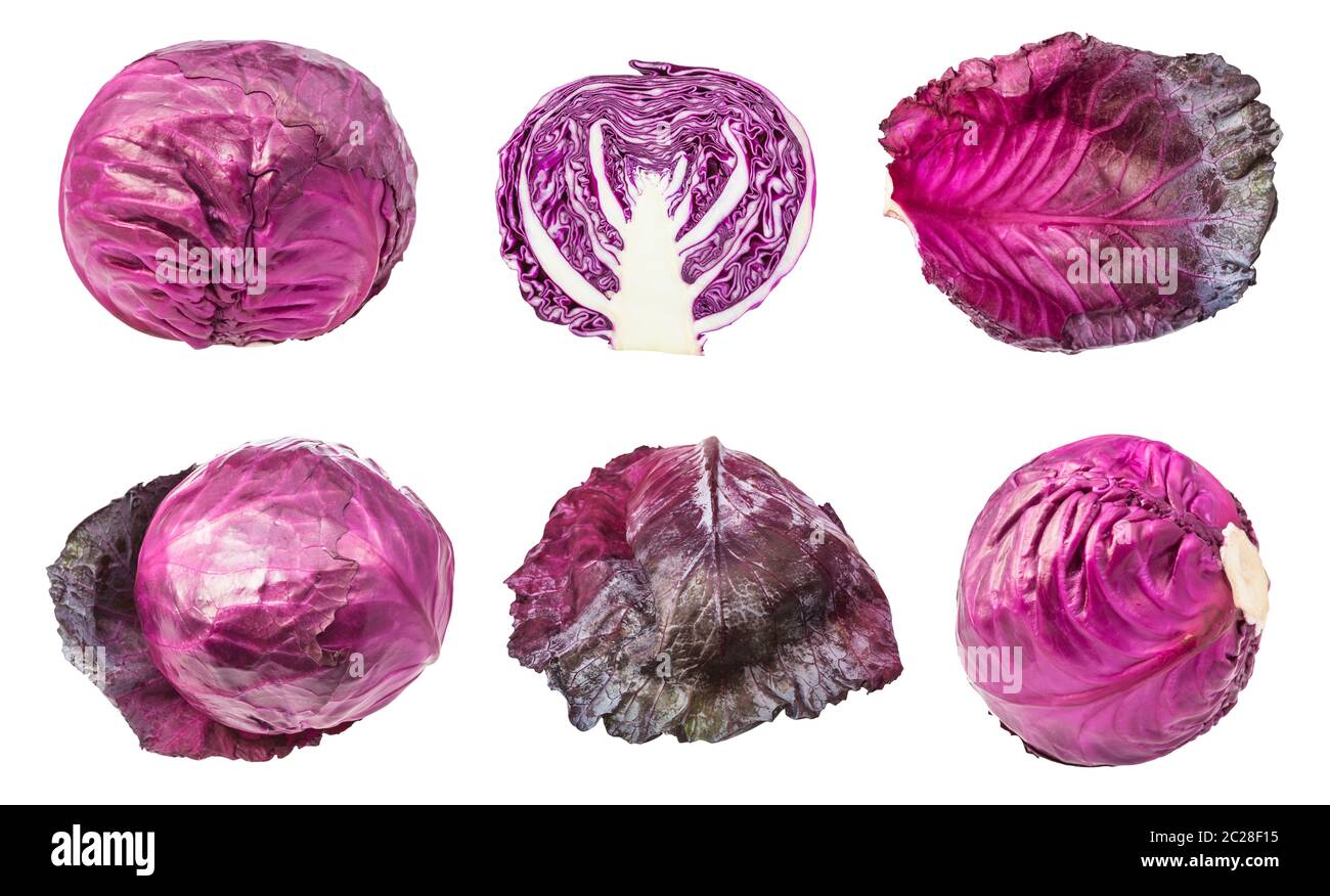 various leaves and heads of red cabbages isolated on white background