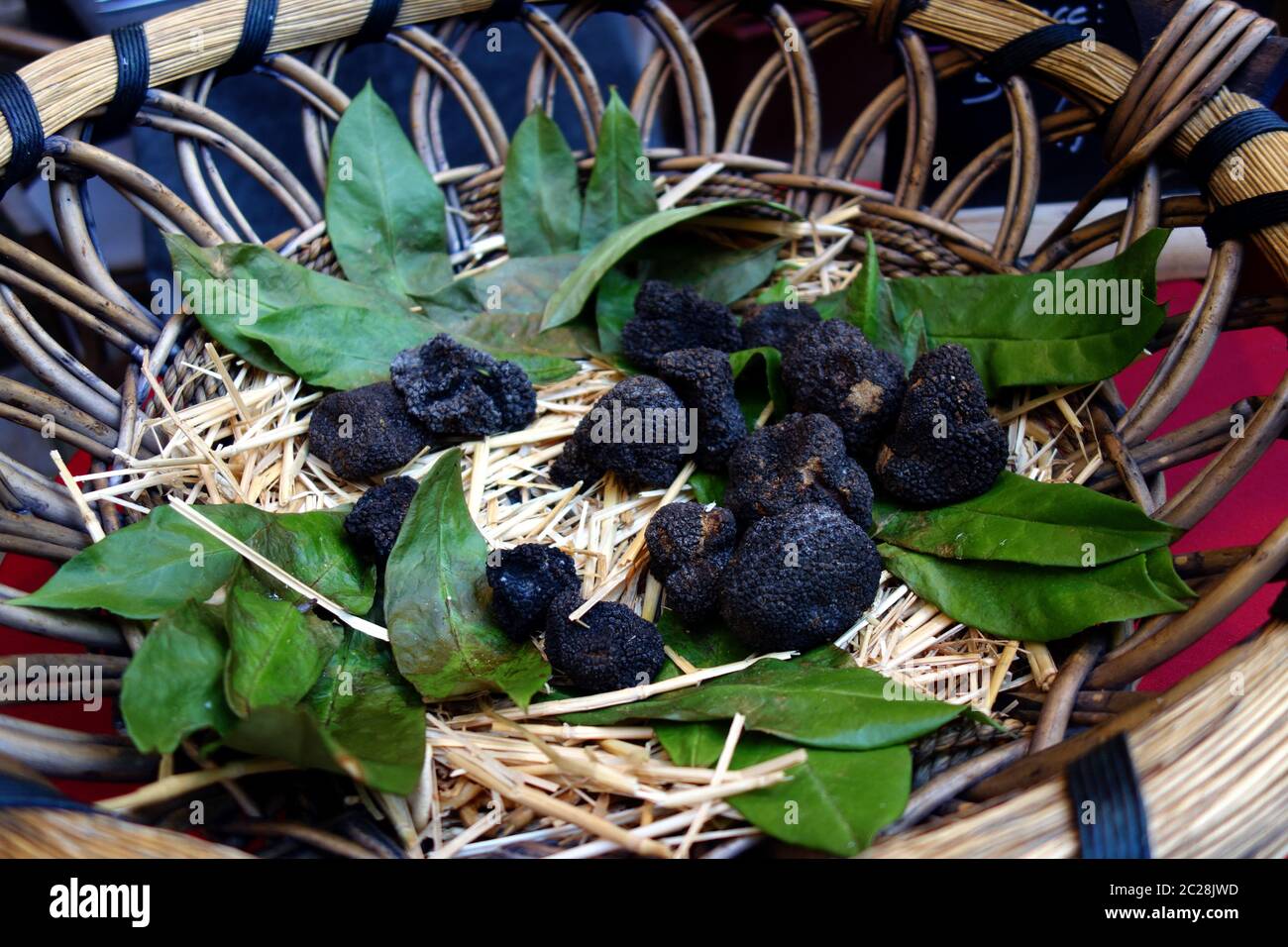 Black truffles Stock Photo