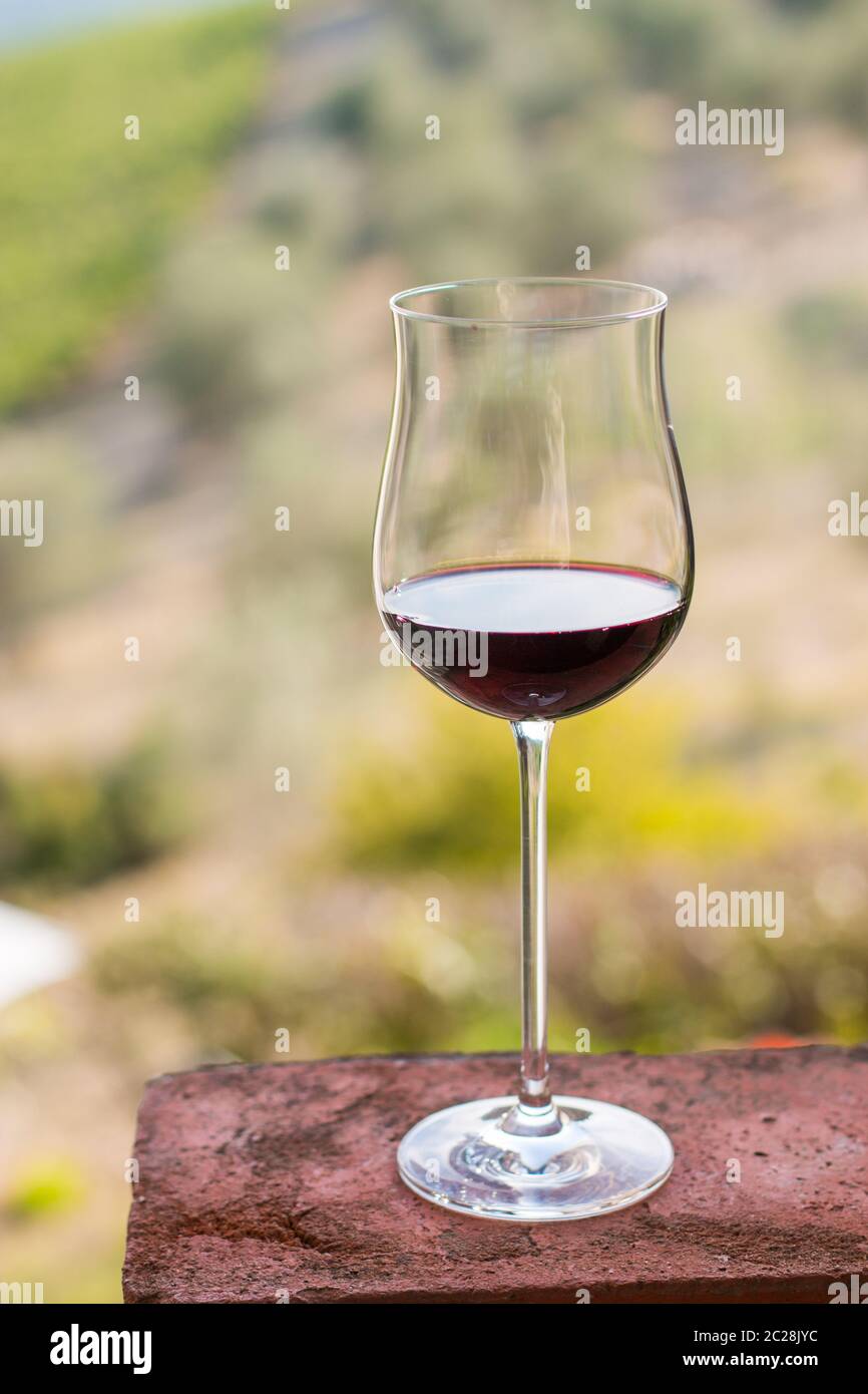 Glass of red wine at Tuscany. Wine yards in the background. Stock Photo