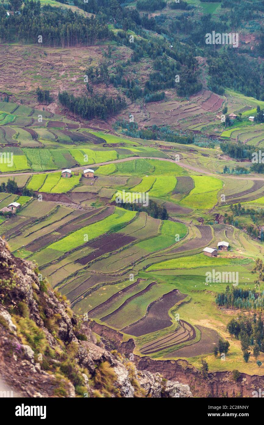 Weldiya hires stock photography and images Alamy