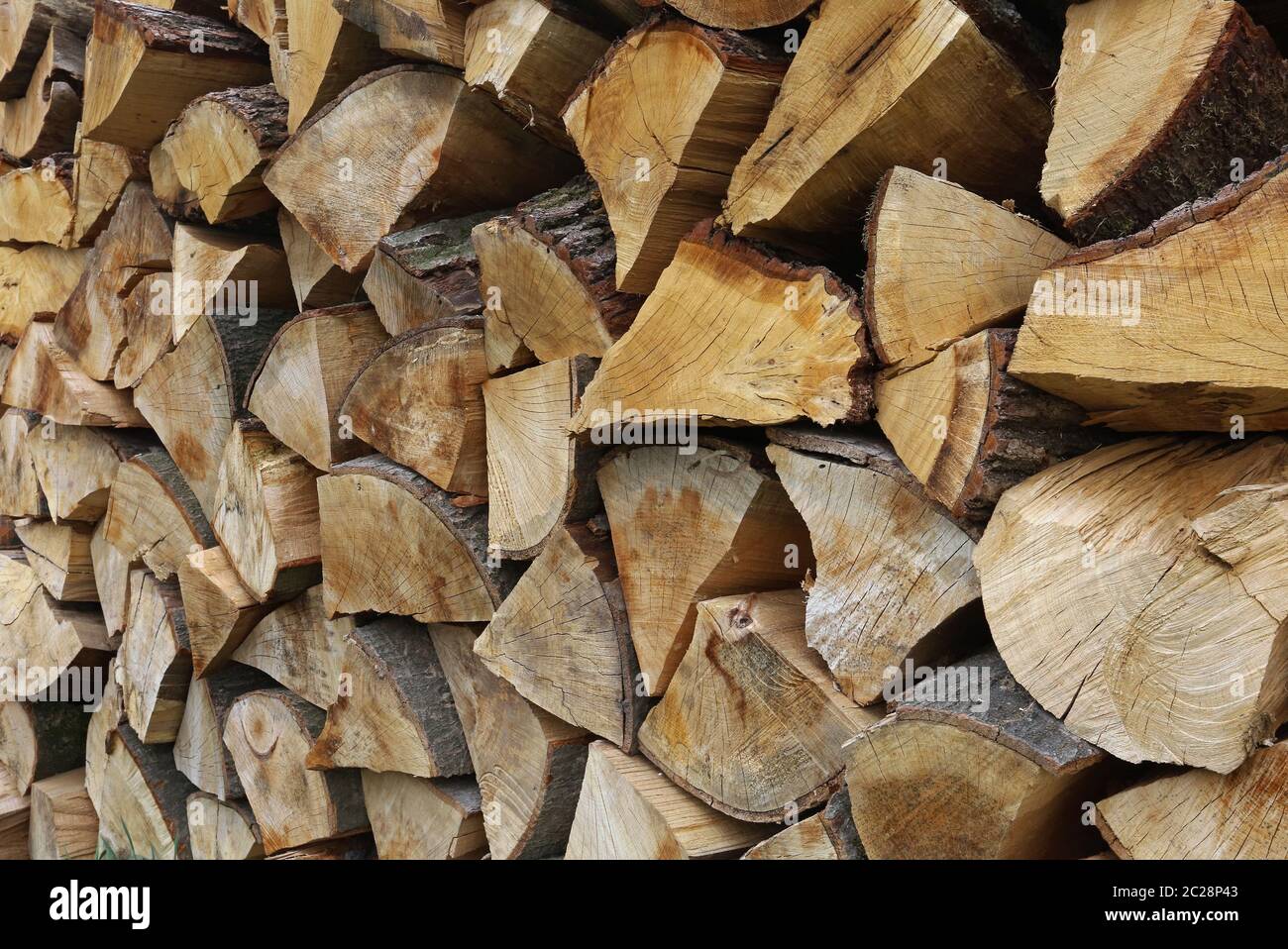 firewood Stock Photo