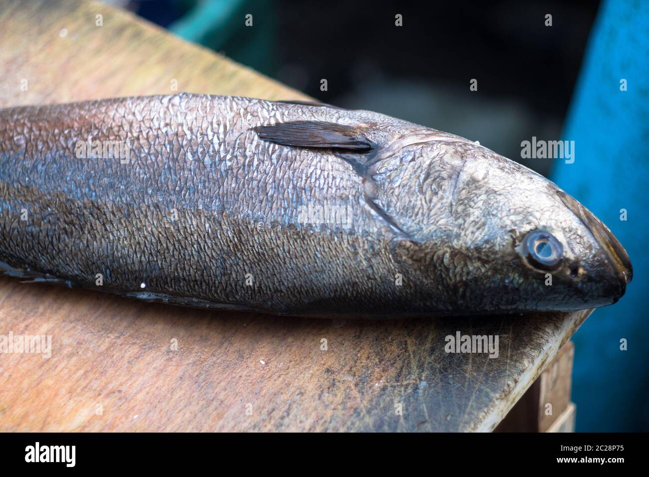 Open Fish Market Stock Photo Alamy open-fish-market-stock-photo-alamy