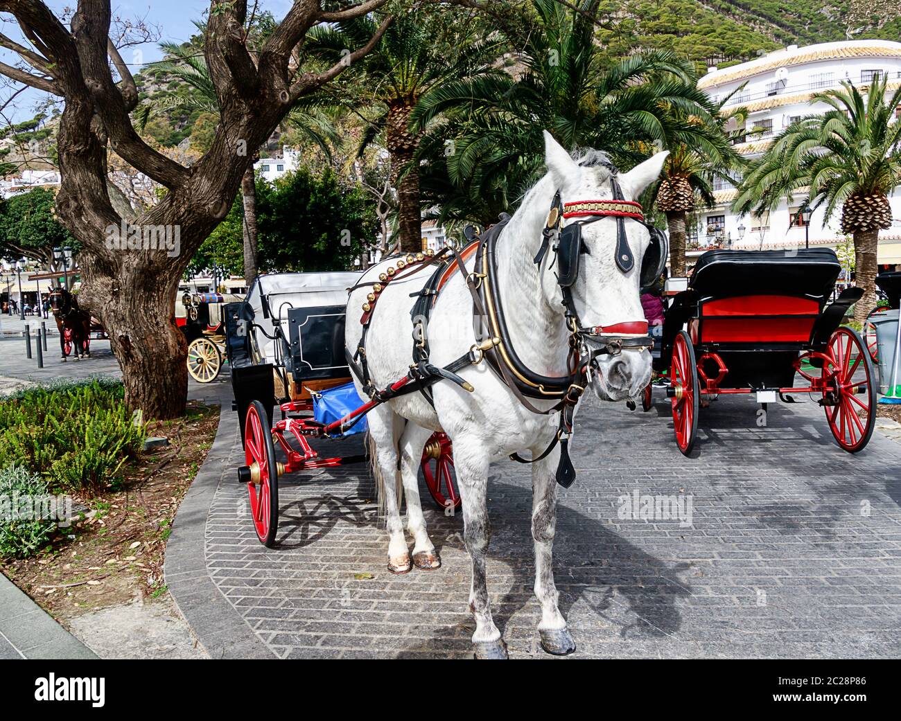 Horse-drawn carriages in the main square of Mijas pueblo, one of the most visited of Andaluciaâ€™s white villages, Costa del Sol. Stock Photo