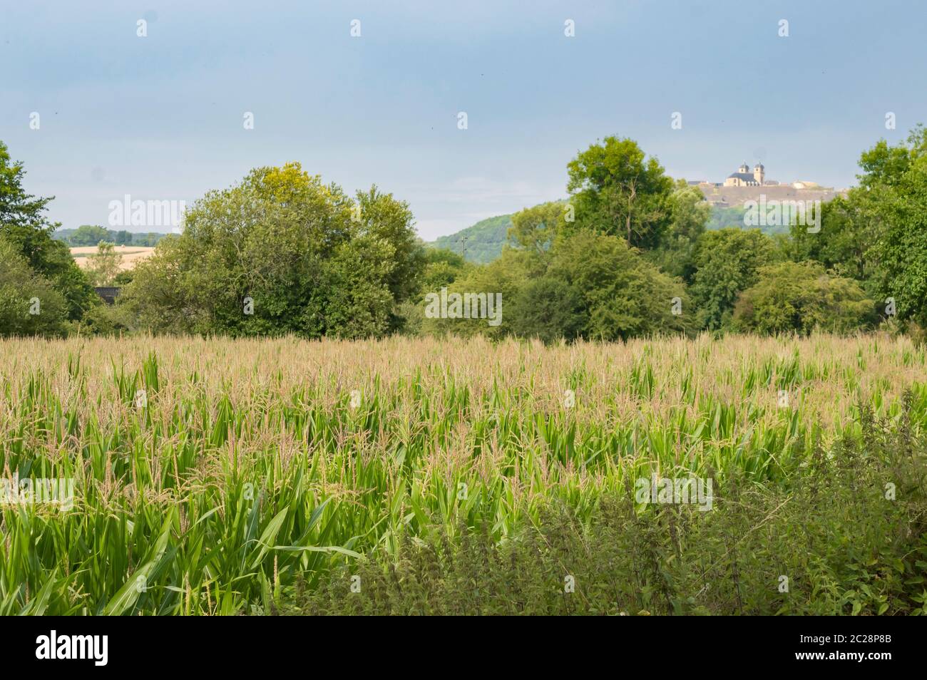 Cornfield with the citadel of Montmédy in France Stock Photo
