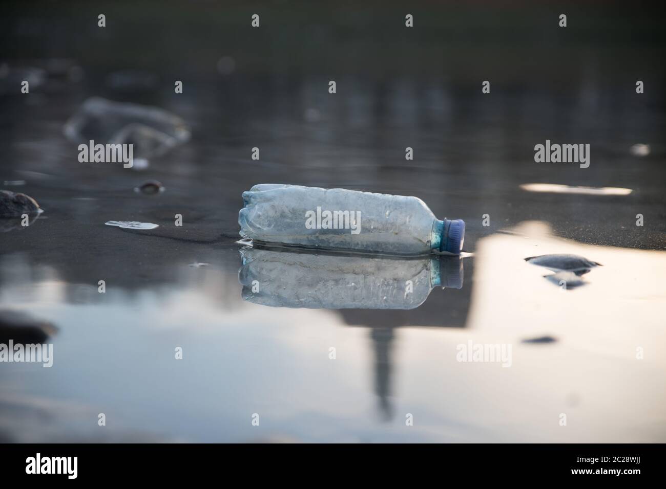Environmental pollution: plastic bottle on the beach Stock Photo