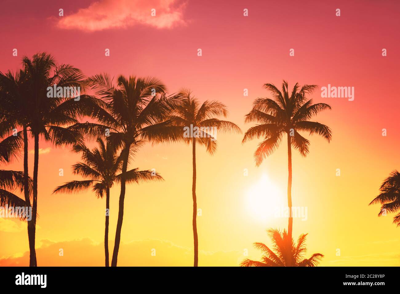 Palm tree silhouette on a background of tropical sunset Stock Photo