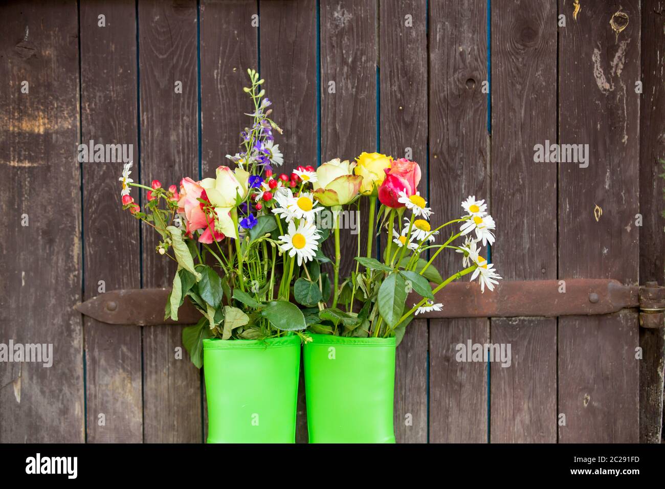 Rubber boots with beautiful flowers in garden Stock Photo - Alamy