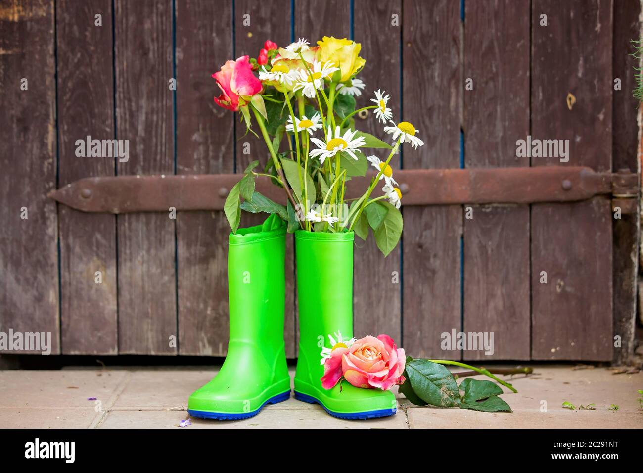 Rubber boots with beautiful flowers in garden Stock Photo - Alamy